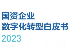 国资企业数字化转型白皮书(2023年)，全63页下载