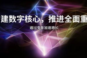 构建数字核心，推进全面重塑，全25页下载