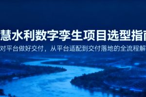 智慧水利数字孪生项目选型指南：选对平台做好交付，从平台适配到交付落地的全流程解决方案